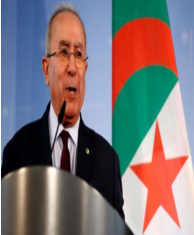 نشاط مكثف للدبلوماسية الجزائرية خلال عام 2021